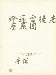 灯通电后老闪什么原因