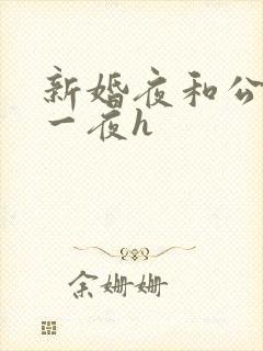 新婚夜和公做了一夜h