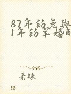 87年的兔与91年的羊婚配好吗