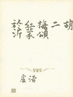 于红梅二胡演奏沂蒙颂封面