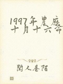 1997年农历十月十六命运如何封面