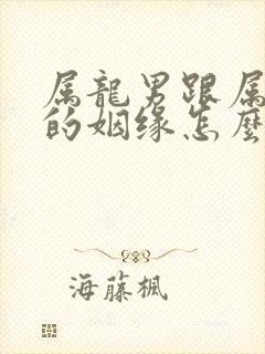 属龙男跟属马女的姻缘怎么样