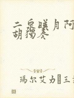 二泉映月阿炳二胡独奏