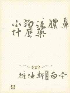 小狗流脓鼻涕用什么药