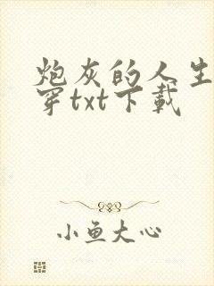 炮灰的人生2快穿txt下载