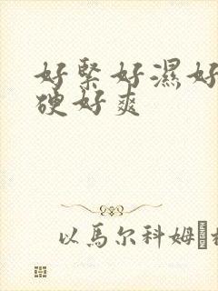 好紧好湿好涨好硬好爽