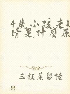 4岁小孩老眨眼睛是什么原因