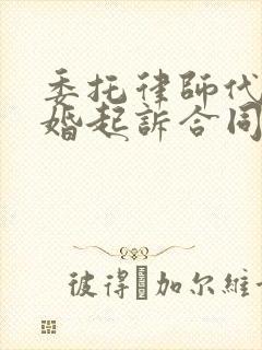 委托律师代理离婚起诉合同封面