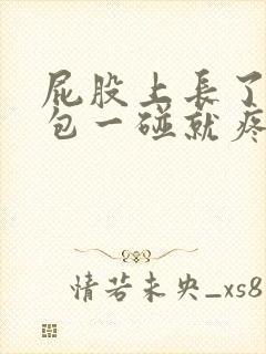 屁股上长了个硬包一碰就疼