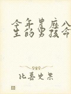 今年农历八月出生的男孩命运如何封面