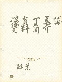 演员丁勇岱个人资料简介封面