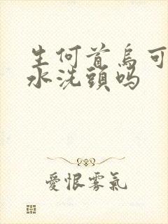 生何首乌可以煮水洗头吗封面