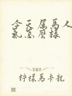 今天属马人的运气怎么样