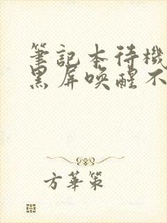 笔记本待机久了黑屏唤醒不了