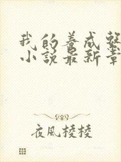 我的养成系女友小说最新章节封面