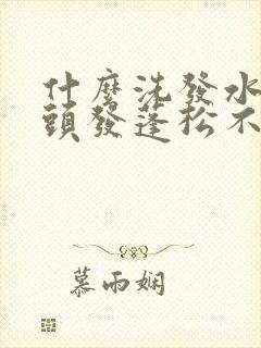 什么洗发水洗了头发蓬松不油腻