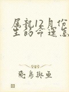 属龙12月份出生的命运怎么样
