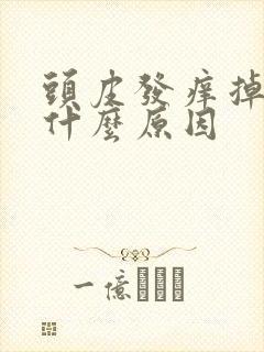 头皮发痒掉发是什么原因