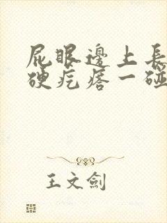 屁眼边上长了个硬疙瘩一碰会疼