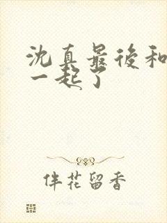 沈真最后和谁在一起了封面