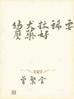 幼犬拉稀要吃什么药好