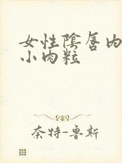 女性阴唇内侧有小肉粒