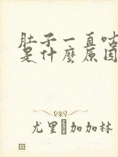 肚子一直咕咕叫是什么原因引起的封面