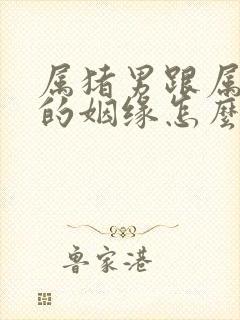 属猪男跟属虎女的姻缘怎么样