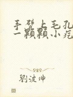 手臂上毛孔凸起一颗颗小疙瘩怎么办封面