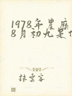 1978年农历8月初九是什么命