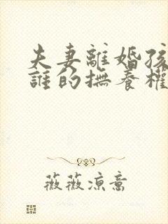 夫妻离婚孩子归谁的抚养权封面