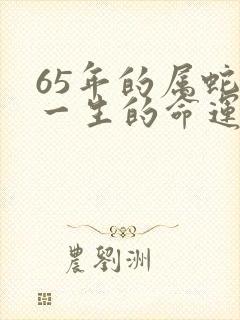 65年的属蛇男一生的命运封面