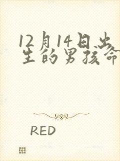 12月14日出生的男孩命运