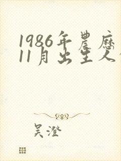 1986年农历11月出生人的命运封面