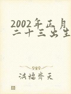2002年正月二十三出生人的命运