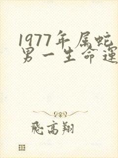 1977年属蛇男一生命运怎么样