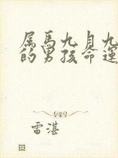 属马九月九出生的男孩命运封面