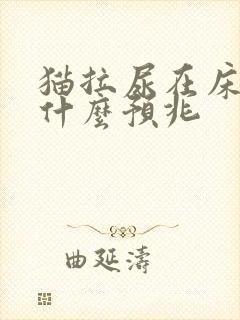 猫拉尿在床上是什么预兆