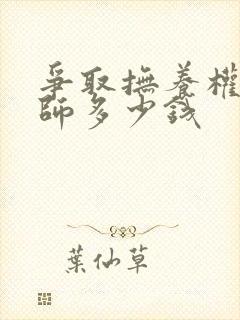 争取抚养权请律师多少钱