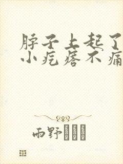 脖子上起了一个小疙瘩不痛不痒