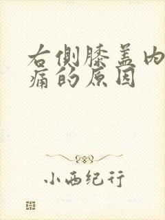 右侧膝盖内侧疼痛的原因封面