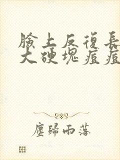 脸上反复长红肿大硬块痘痘