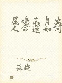 属鸡正月出生的人命运如何封面