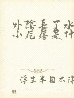 外阴长了水泡状小疙瘩是什么病