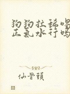 狗狗拉稀喝藿香正气水行吗