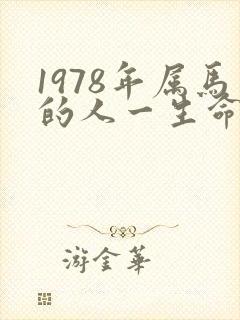 1978年属马的人一生命运如何封面