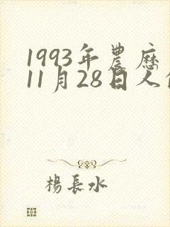 1993年农历11月28日人的命运