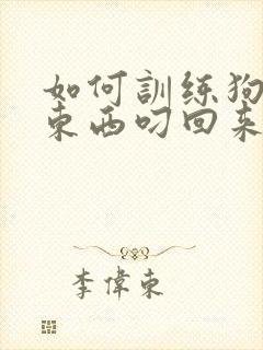 如何训练狗狗把东西叼回来