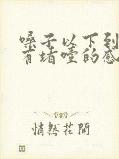 嗓子以下到胸口有堵噎的感觉