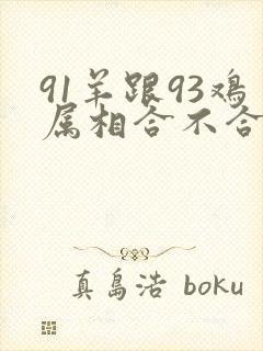 91羊跟93鸡属相合不合封面